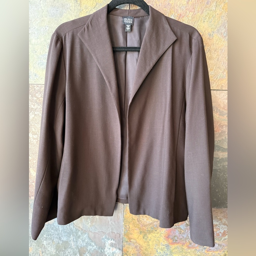 Eileen Fisher dark brown wool jacket, L, pockets in princess seams, rayon lining